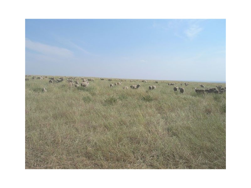 176 & 177 Klose, Herbig & Springs Road, Mannum SA 5238