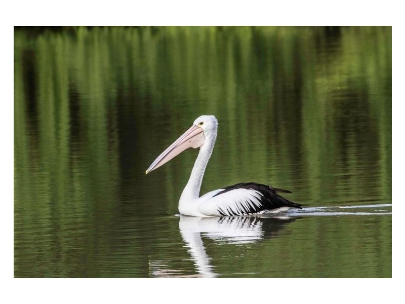 6 ‘Aruma River Resort’ Cliff View Drive, Walker Flat SA 5238