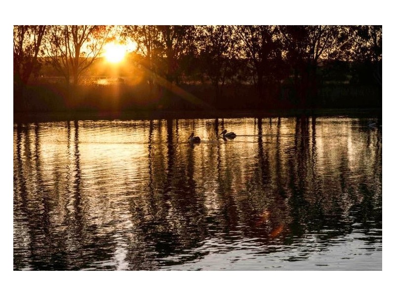 6 ‘Aruma River Resort’ Cliff View Drive, Walker Flat SA 5238