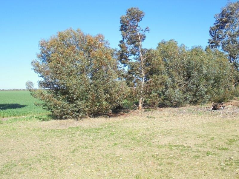 224 Greenways Road, Nildottie SA 5238