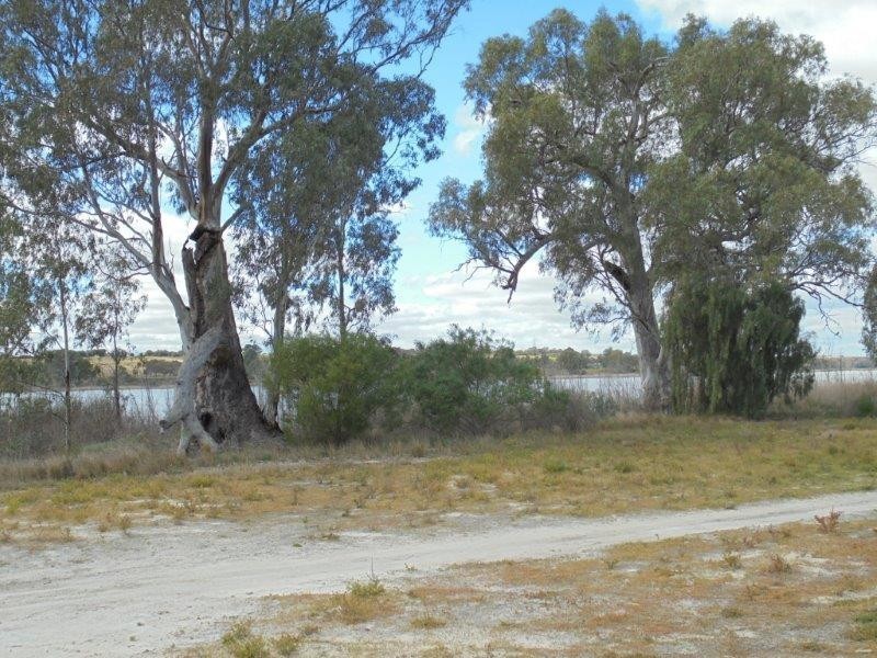 106 River Reserve Road, Marks Landing, Swan Reach SA 5354