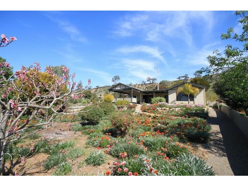 Lot 36 Tom Groggin Drive, Younghusband SA 5238