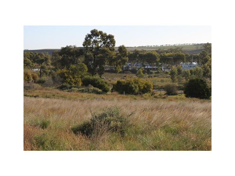 Lot 101 Greenshields Road ‘Talia Heights’, Younghusband SA 5238