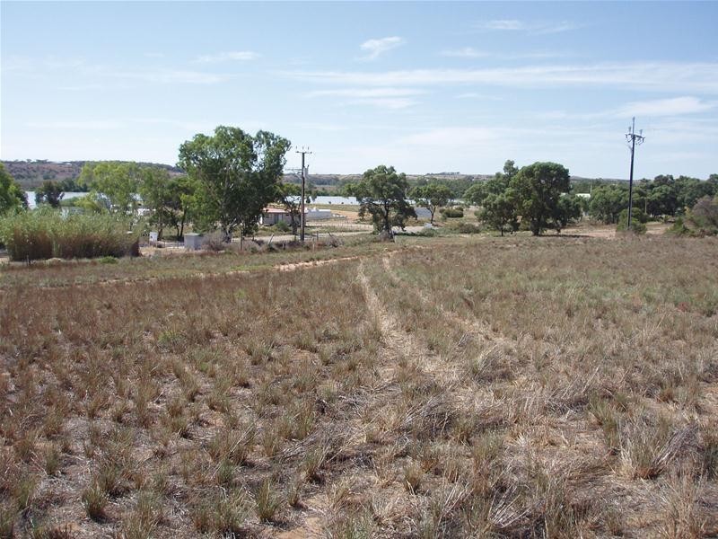 Lot 101 Greenshields Road ‘Talia Heights’, Younghusband SA 5238