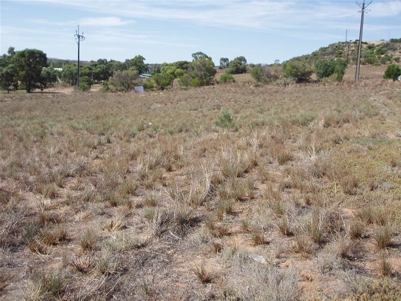 Lot 101 Greenshields Road ‘Talia Heights’, Younghusband SA 5238