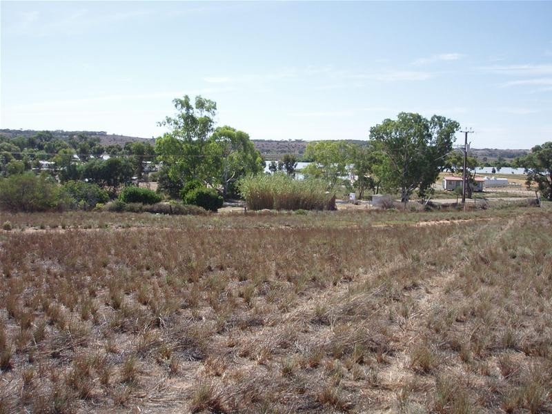 Lot 101 Greenshields Road ‘Talia Heights’, Younghusband SA 5238