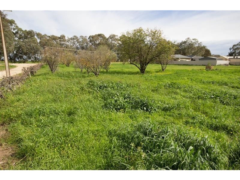 30 Burleigh Street, Langhorne Creek SA 5255