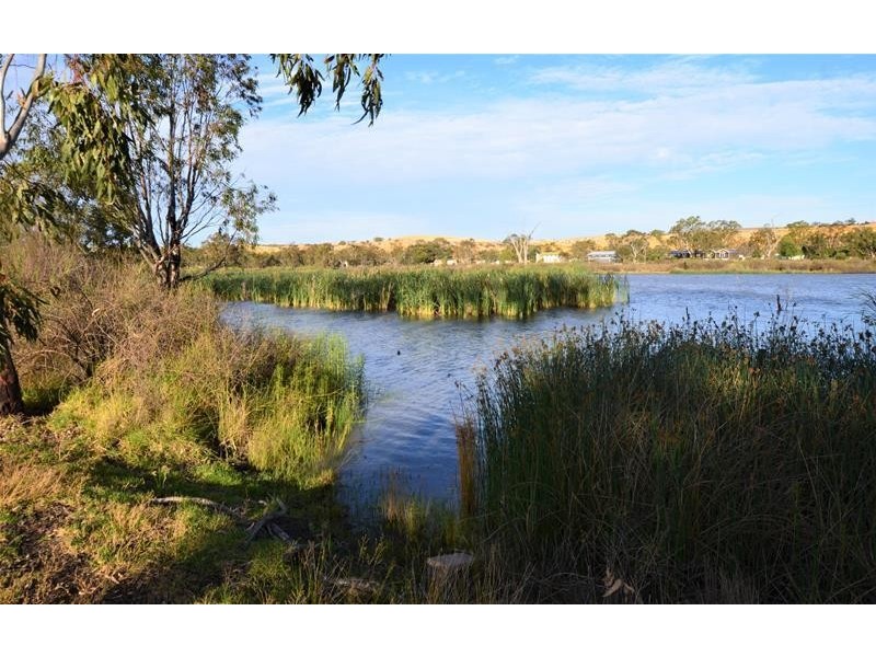 44 Mallee Road, Walker Flat SA 5238