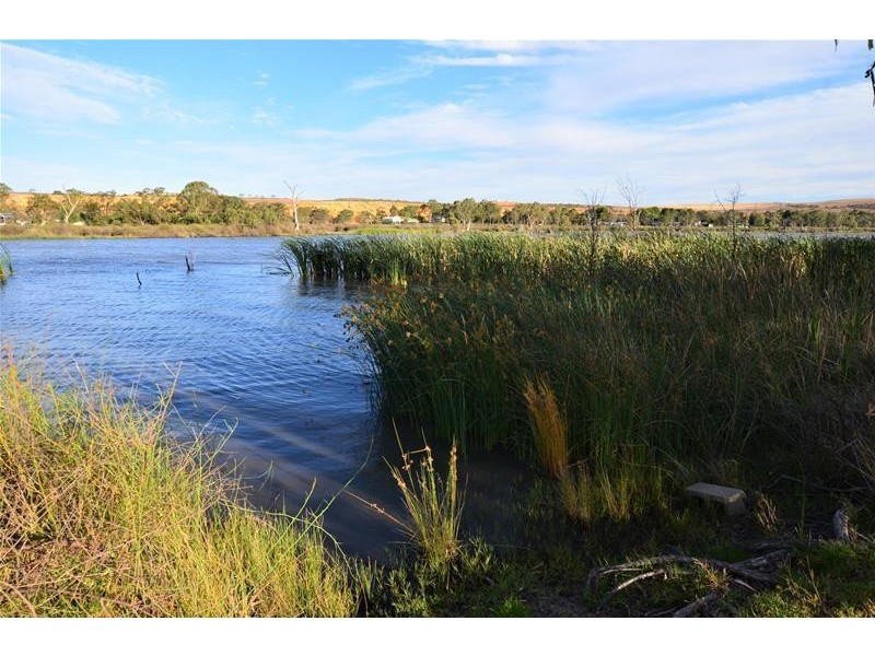 44 Mallee Road, Walker Flat SA 5238