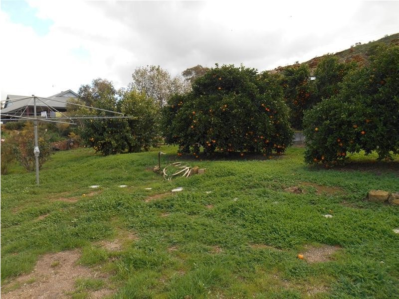 155 Purnong Road, Mannum SA 5238