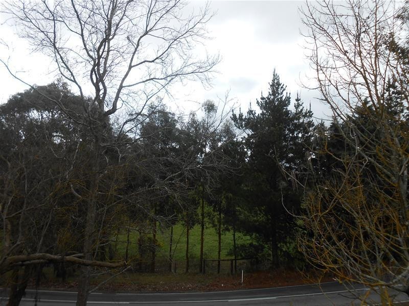 1736 Lobethal Road, Lenswood SA 5240