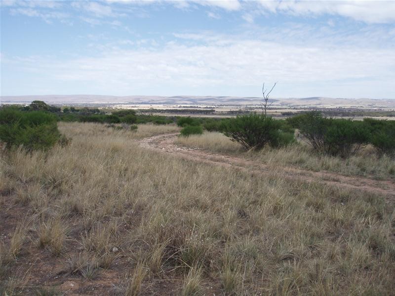 694 Battens Road, Sedan SA 5353