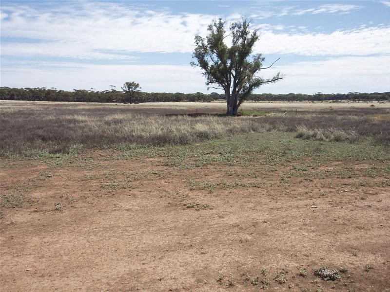 694 Battens Road, Sedan SA 5353