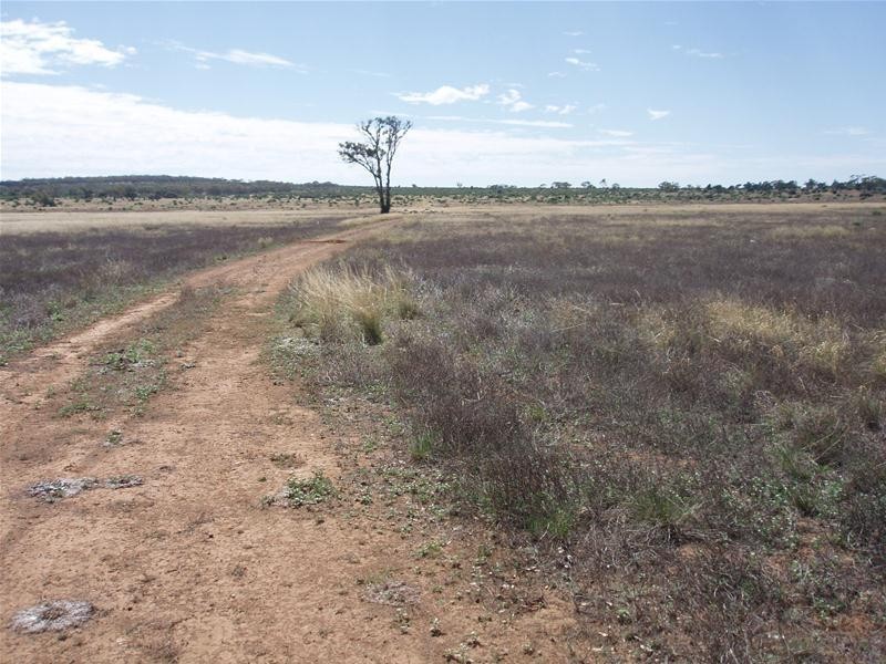 694 Battens Road, Sedan SA 5353