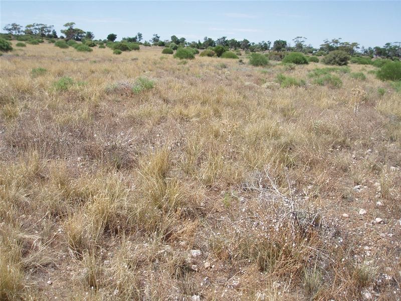 694 Battens Road, Sedan SA 5353