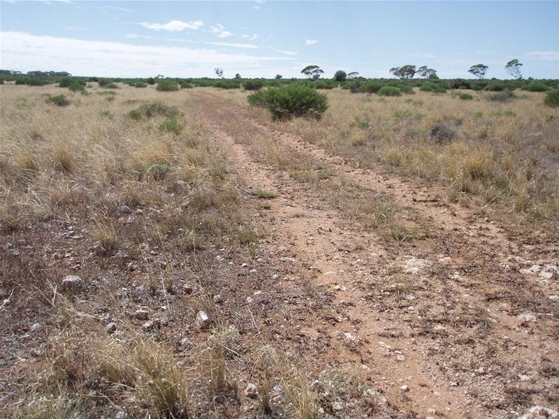 694 Battens Road, Sedan SA 5353