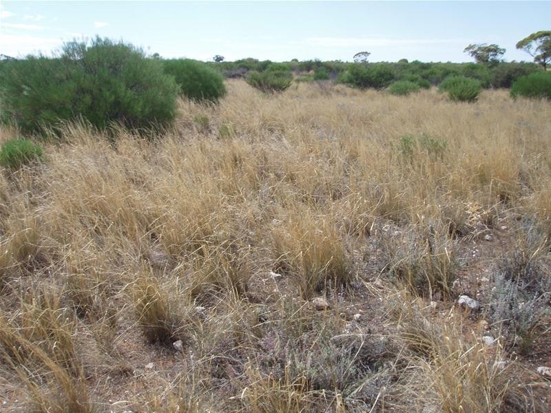 694 Battens Road, Sedan SA 5353