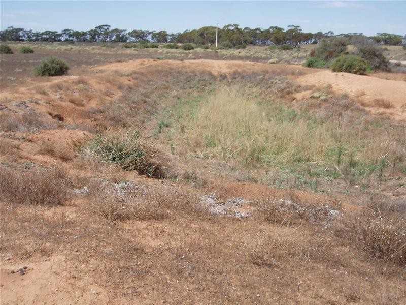 694 Battens Road, Sedan SA 5353