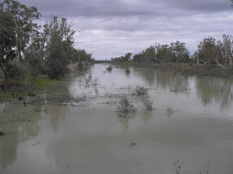 5139 Murraylands Road, Swan Reach SA 5354