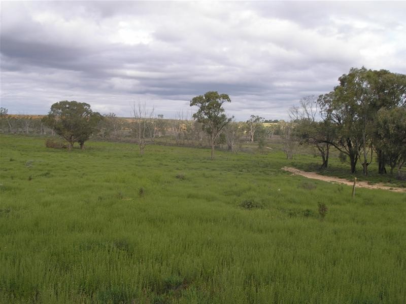 5139 Murraylands Road, Swan Reach SA 5354