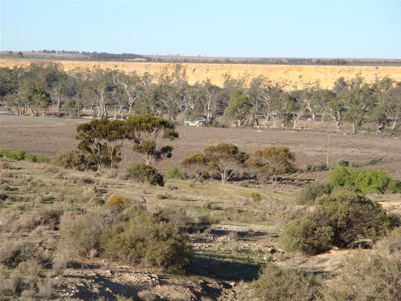 5139 Murraylands Road, Swan Reach SA 5354