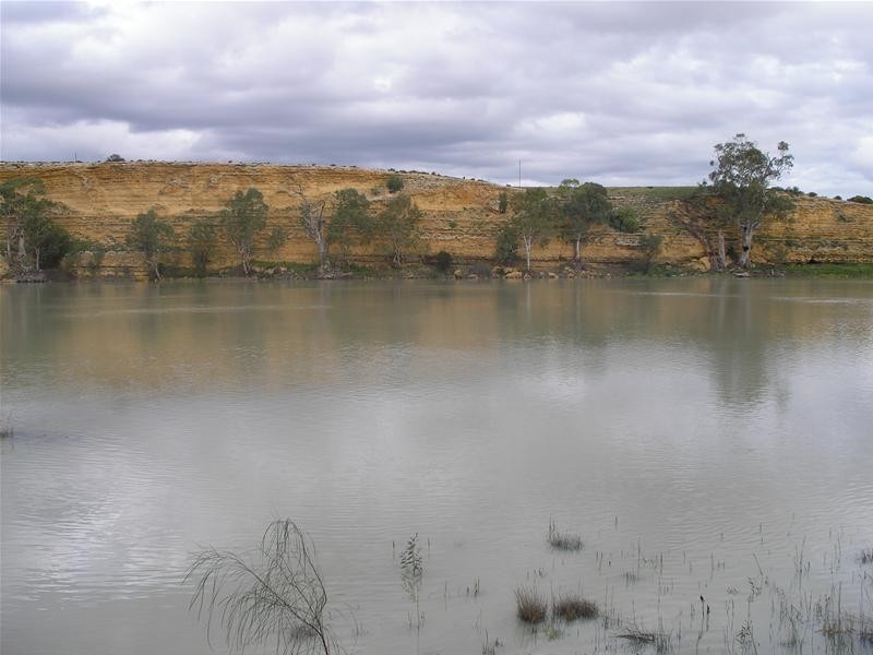 5139 Murraylands Road, Swan Reach SA 5354