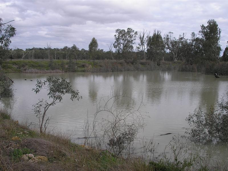 5139 Murraylands Road, Swan Reach SA 5354