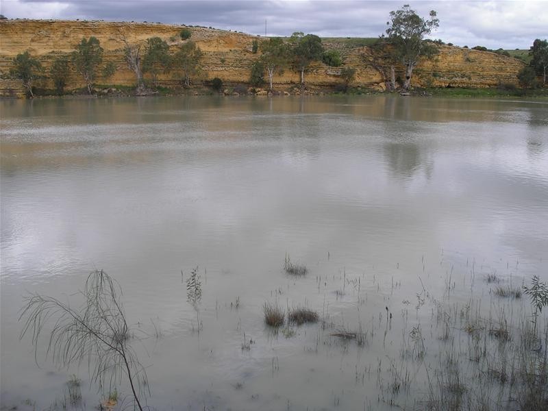 5139 Murraylands Road, Swan Reach SA 5354