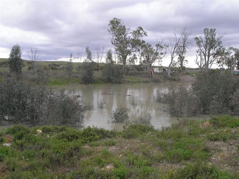 5139 Murraylands Road, Swan Reach SA 5354