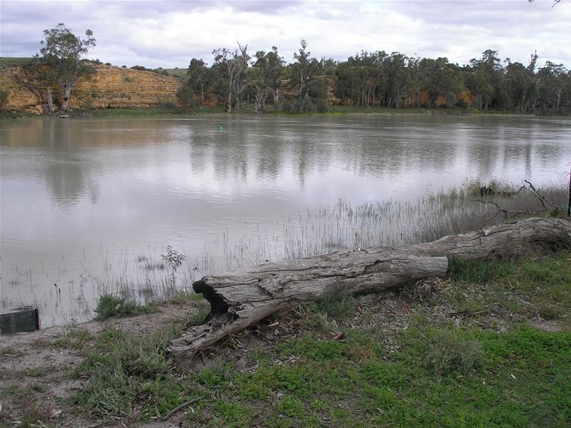 5139 Murraylands Road, Swan Reach SA 5354