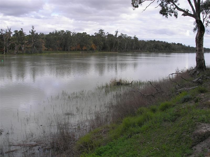 5139 Murraylands Road, Swan Reach SA 5354