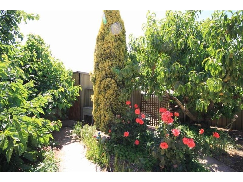 16 Baseby Road, Mannum SA 5238