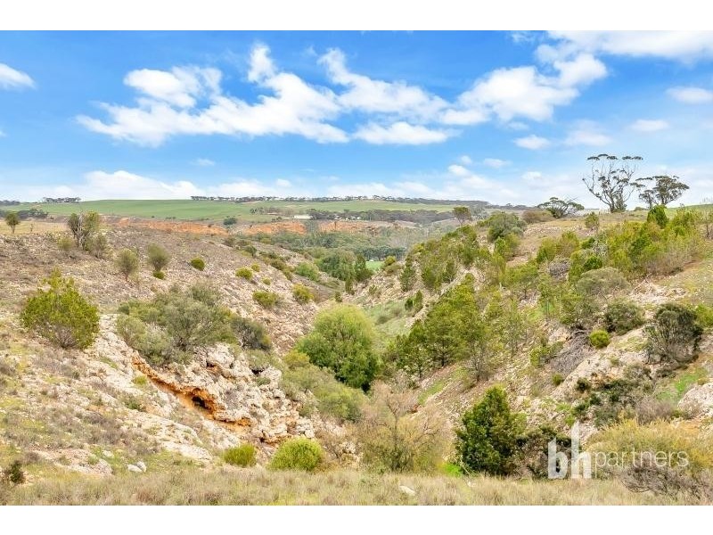 Lot 83 Teal Flat Road, Caurnamont SA 5238