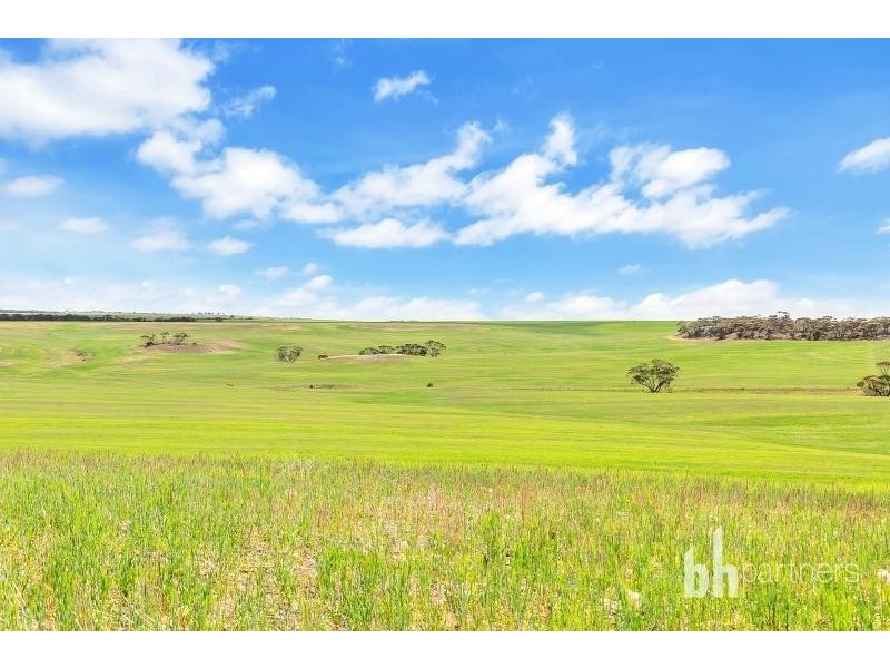 Lot 83 Teal Flat Road, Caurnamont SA 5238