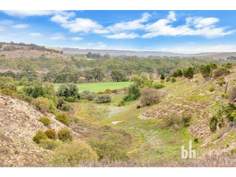 Lot 83 Teal Flat Road, Caurnamont SA 5238