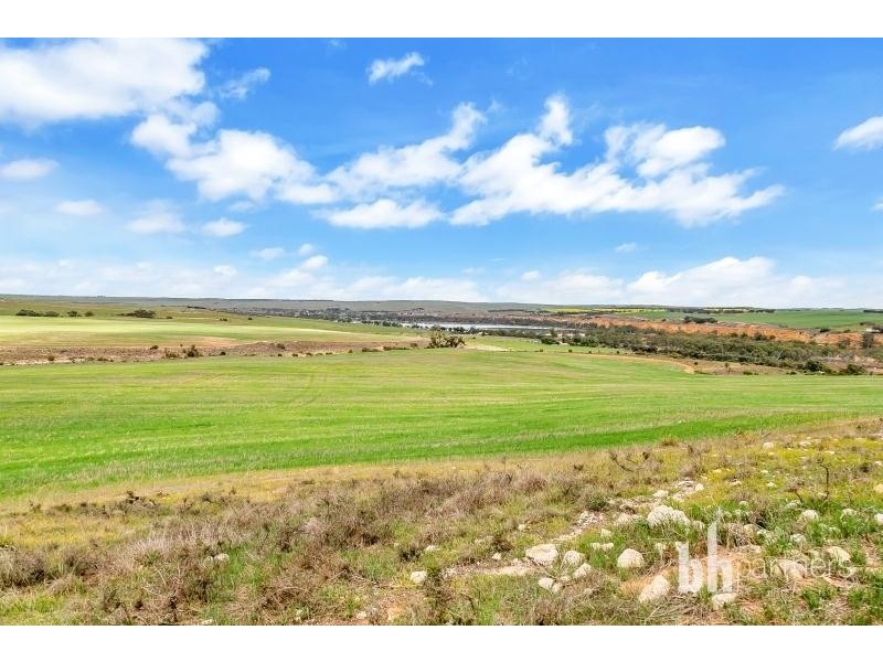 Lot 83 Teal Flat Road, Caurnamont SA 5238