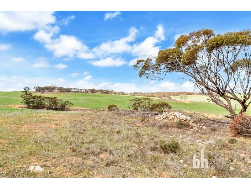 Lot 83 Teal Flat Road, Caurnamont SA 5238
