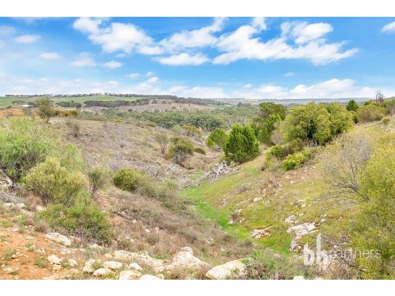 Lot 83 Teal Flat Road, Caurnamont SA 5238