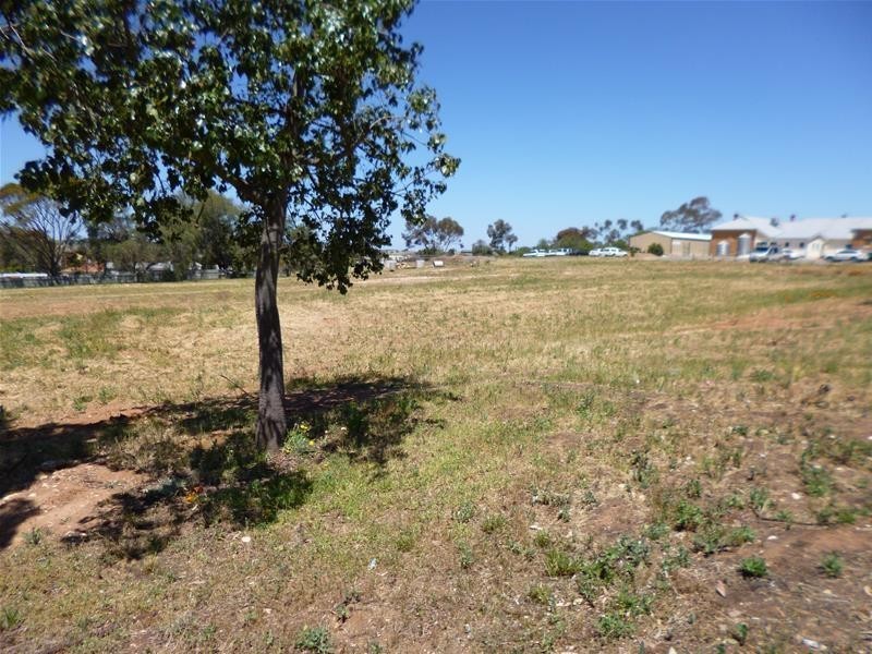 Lot 52,53,54 & 55, Lot 52, 53, 54 & 55 Walker Avenue, Mannum SA 5238