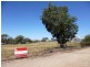 Lot 52,53,54 & 55, Lot 52, 53, 54 & 55 Walker Avenue, Mannum SA 5238