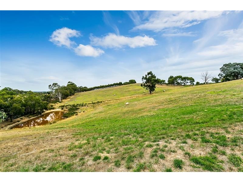 37 Pedare Park Road, Woodside SA 5244