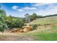 37 Pedare Park Road, Woodside SA 5244
