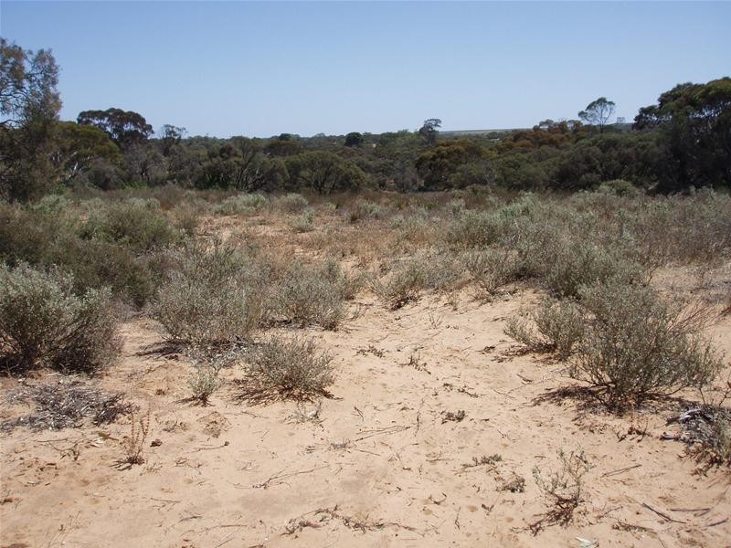 Lot 9 Black Hill Road, Black Hill SA 5353