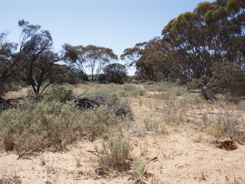 Lot 9 Black Hill Road, Black Hill SA 5353