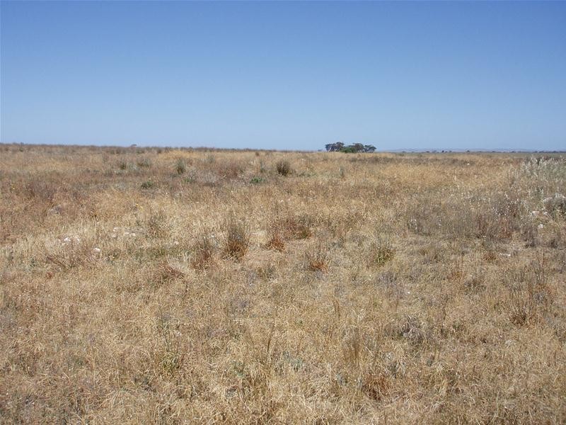 Lot 9 Black Hill Road, Black Hill SA 5353