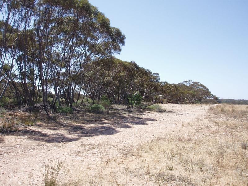 Lot 9 Black Hill Road, Black Hill SA 5353