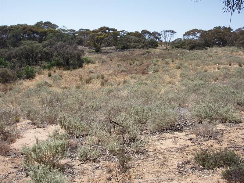 Lot 9 Black Hill Road, Black Hill SA 5353