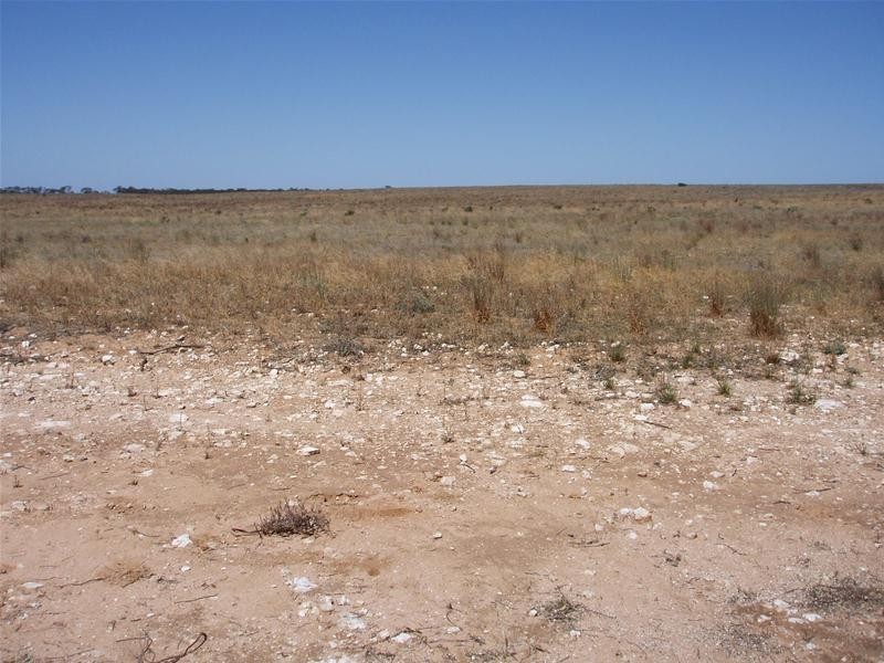 Lot 9 Black Hill Road, Black Hill SA 5353