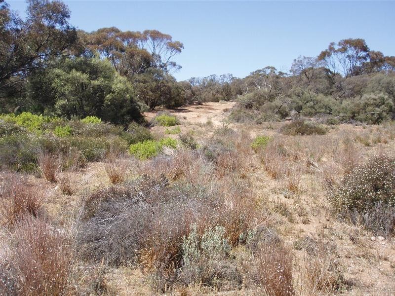 Lot 9 Black Hill Road, Black Hill SA 5353