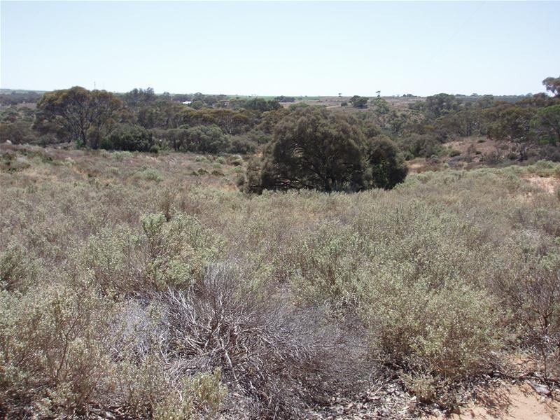 Lot 9 Black Hill Road, Black Hill SA 5353
